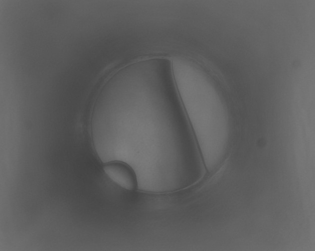 X0000101951210200807180655