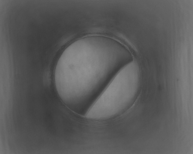 X0000101951213200807180655