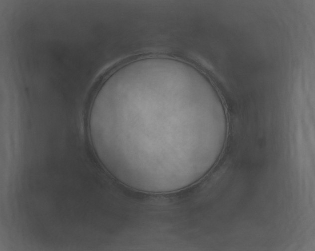 X0000101951214200807180655