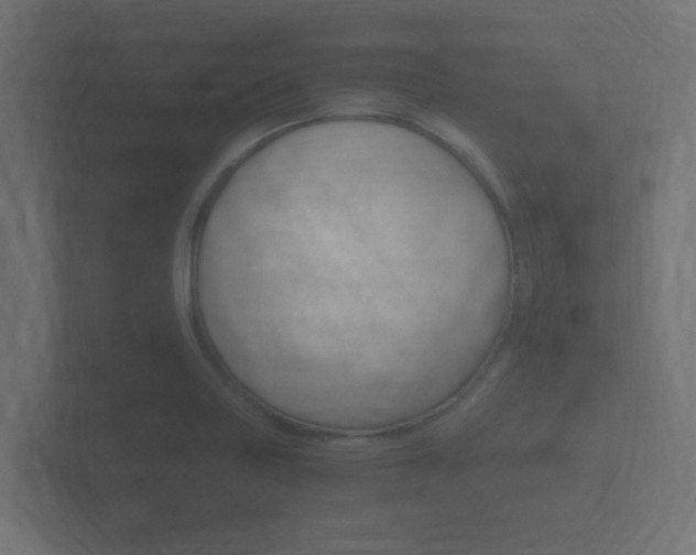 X0000101951227200807180655