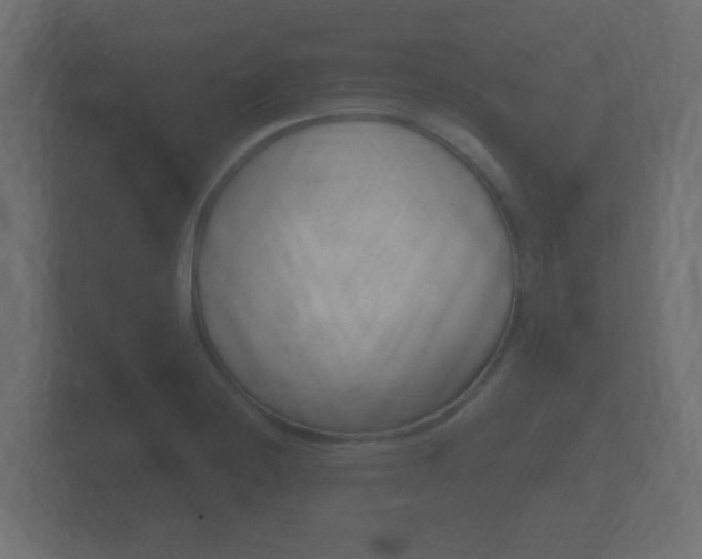 X0000101951228200807180655