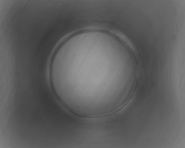 X0000101951232200807180655