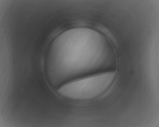 X0000101951233200807180655