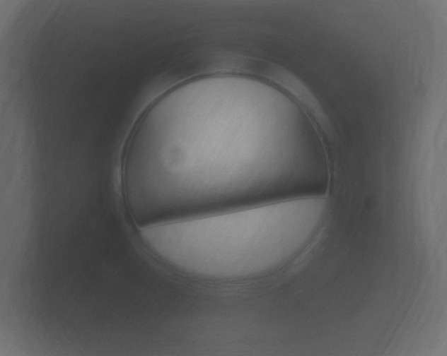 X0000101951234200807180655