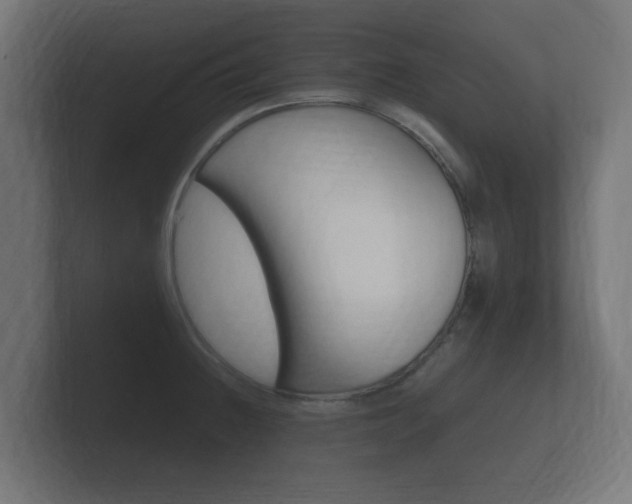 X0000101951236200807180656