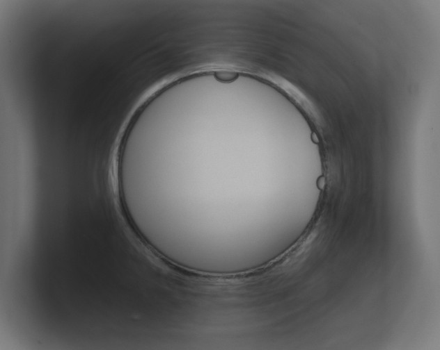 X0000101951238200807180656