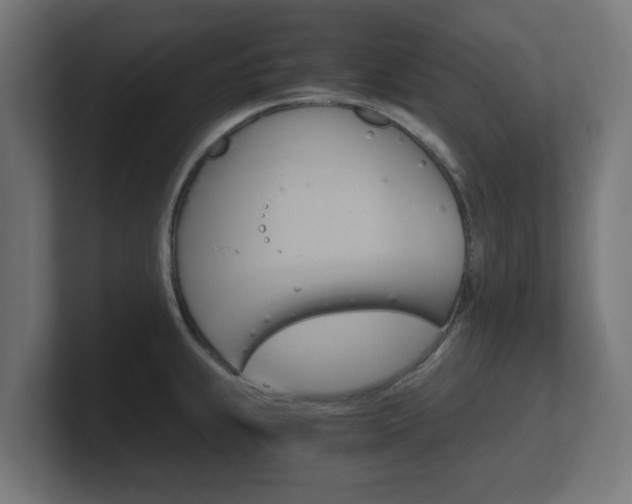 X0000101951239200807180656