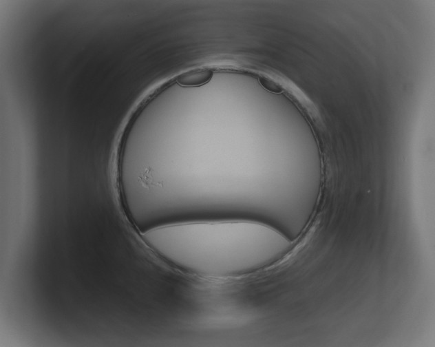 X0000101951240200807180656