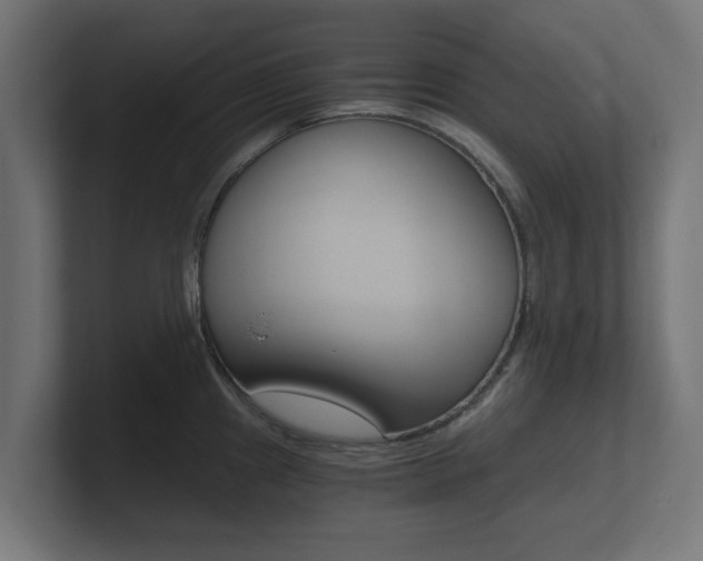 X0000101951241200807180656