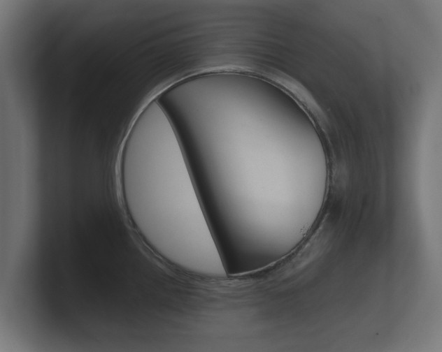 X0000101951242200807180656