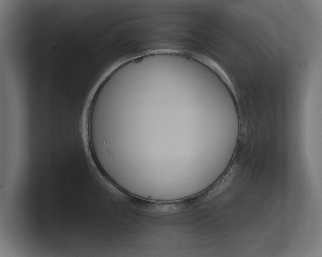 X0000101951243200807180656