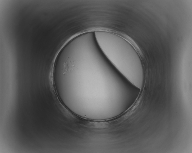 X0000101951244200807180656