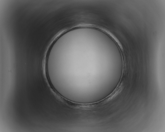 X0000101951245200807180656