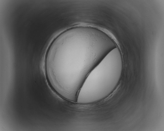 X0000101951247200807180656