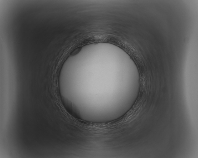 X0000101951249200807180655