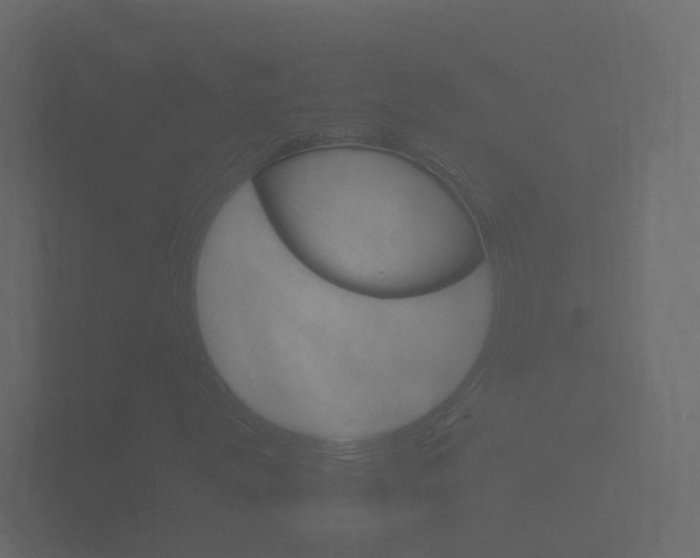 X0000101951251200807180655