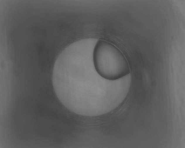 X0000101951252200807180655