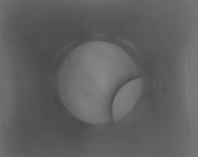 X0000101951255200807180655