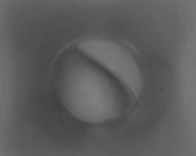 X0000101951256200807180655