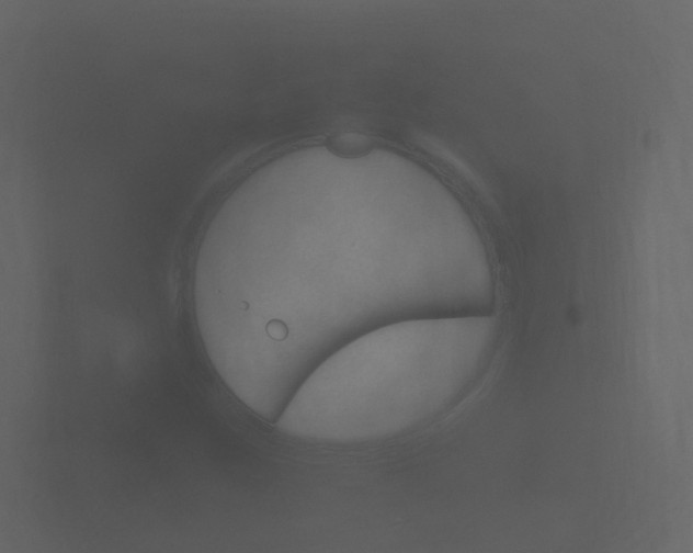 X0000101951259200807180655