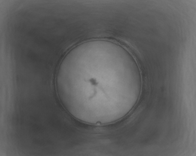 X0000101951265200807180655