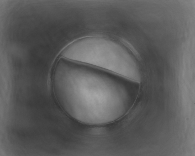 X0000101951268200807180655