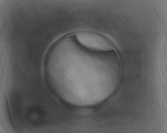 X0000101951270200807180655