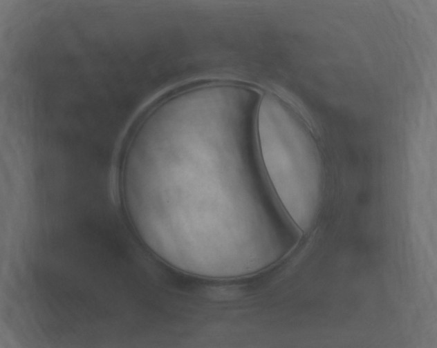 X0000101951272200807180655