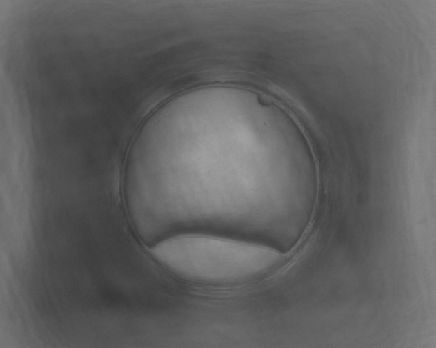 X0000101951273200807180655