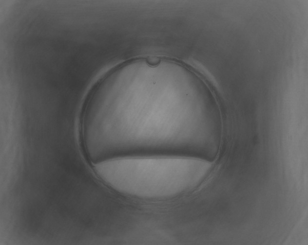 X0000101951277200807180655