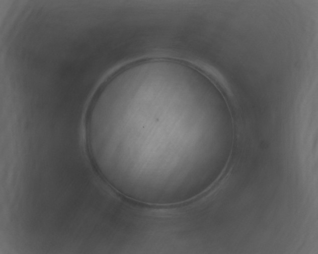 X0000101951280200807180655