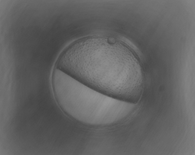 X0000101951283200807180655