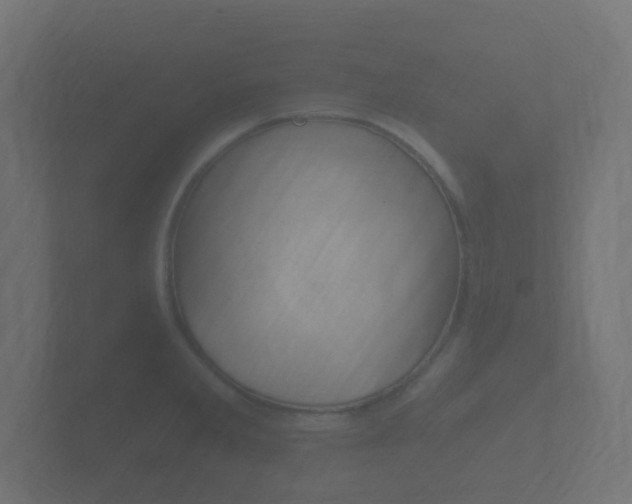 X0000101951285200807180655