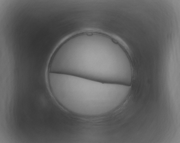 X0000101951287200807180655