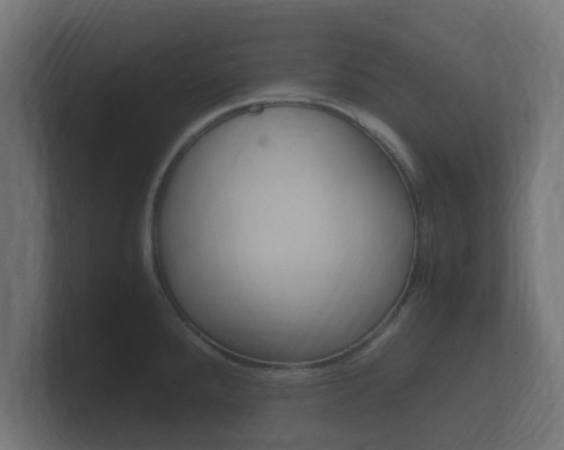 X0000101951288200807180655
