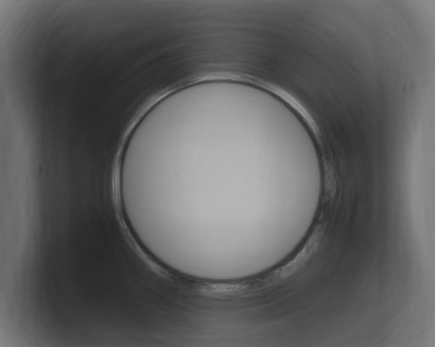 X0000101951290200807180655