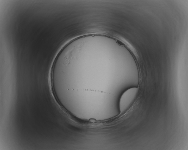 X0000101951291200807180655