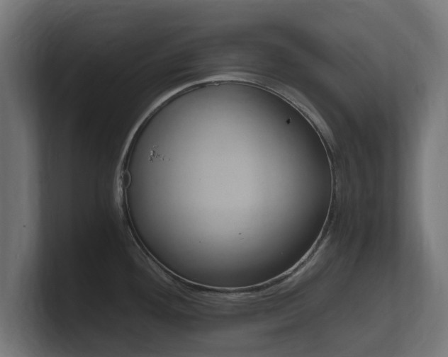 X0000101951292200807180654
