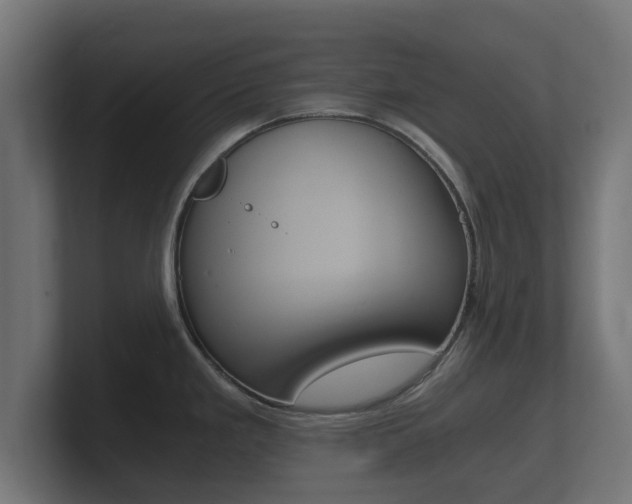 X0000101951293200807180654