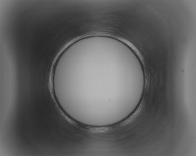 X0000101951294200807180654