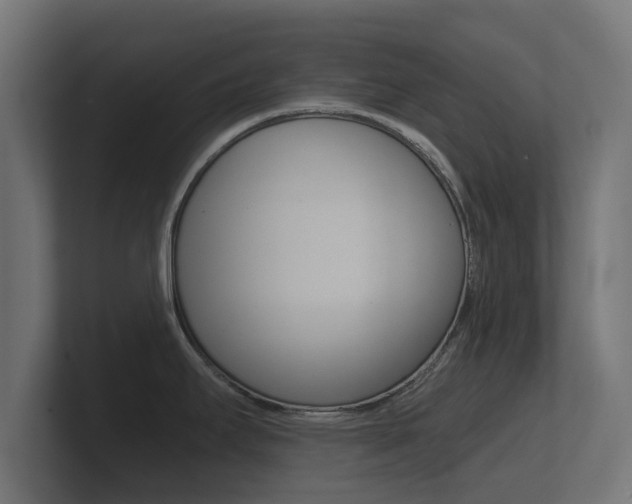 X0000101951295200807180654