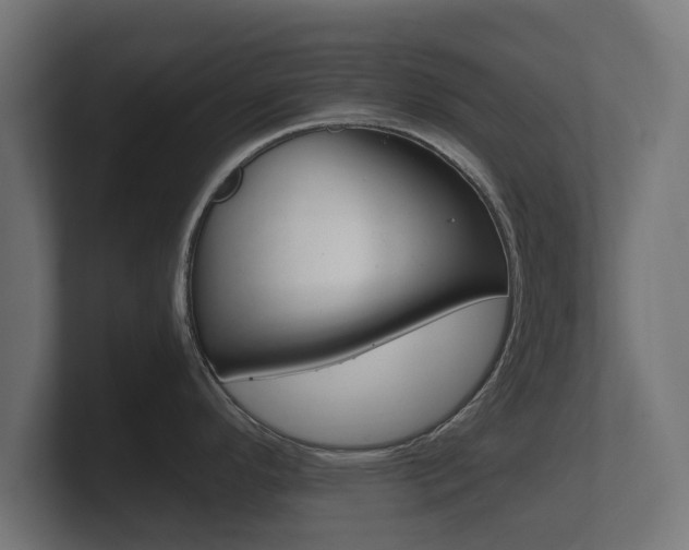 X0000101951296200807180654