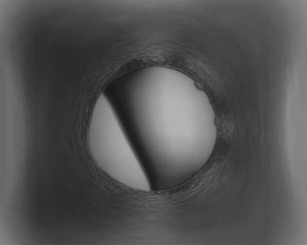 X0000101951297200807180654