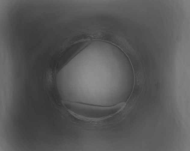 X0000101951298200807180654
