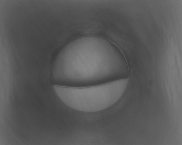X0000101951300200807180654