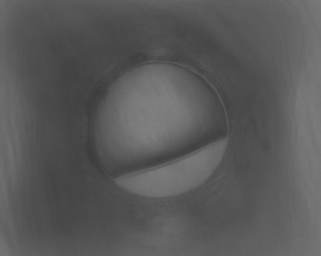 X0000101951301200807180654