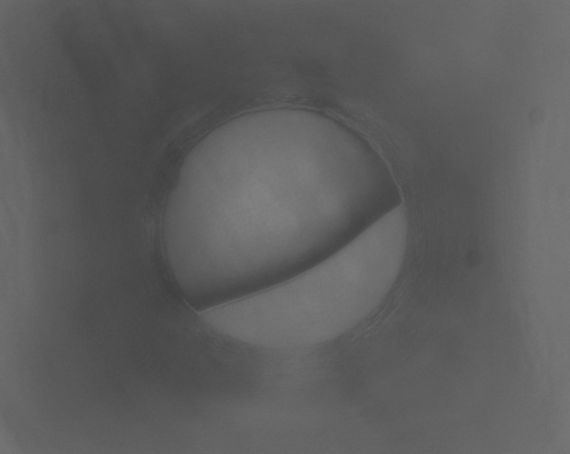 X0000101951302200807180654