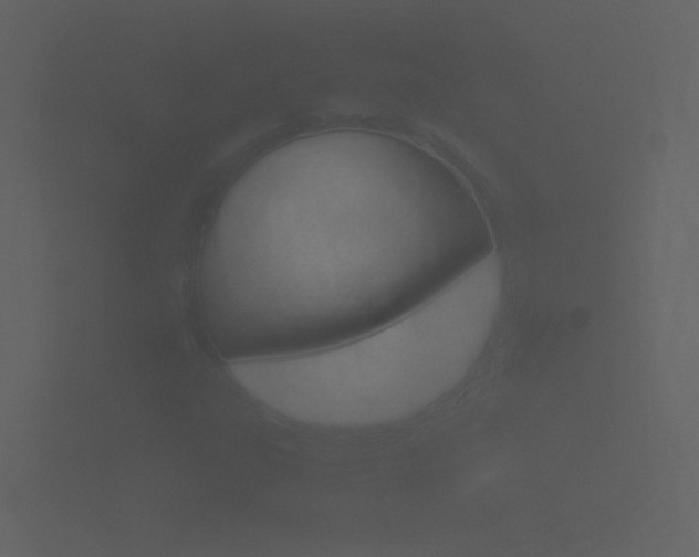X0000101951303200807180654