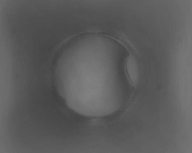 X0000101951304200807180654