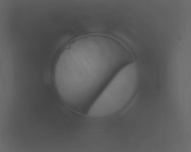 X0000101951306200807180654